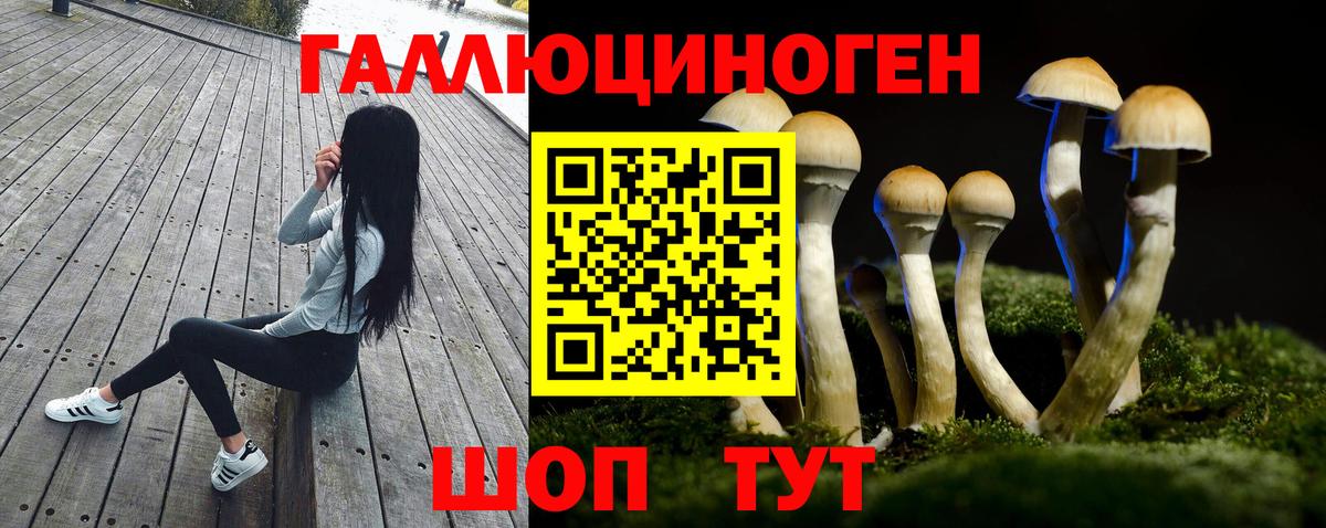 Дятьково  Псилоцибиновые грибы Psilocybe  Вход с VPN  Галлюциногенные грибы мицелий 